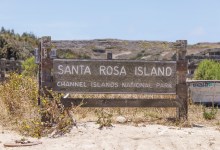 Santa Rosa Island Will Reopen to Public Following Historic Fire