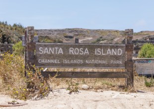 Santa Rosa Island Will Reopen to Public Following Historic Fire