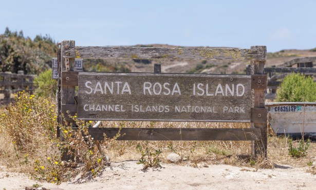 Santa Rosa Island Will Reopen to Public Following Historic Fire