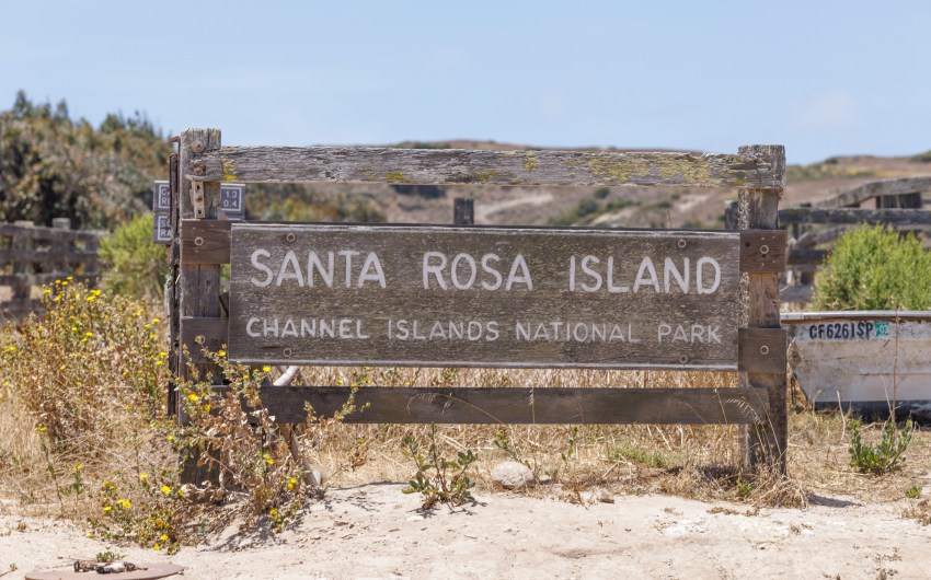 Santa Rosa Island Will Reopen to Public Following Historic Fire