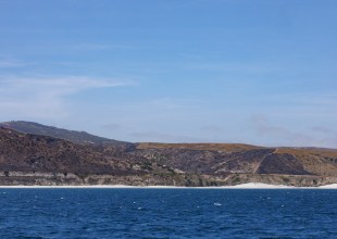 Island of Ash