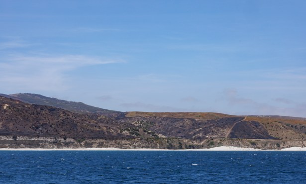 Island of Ash