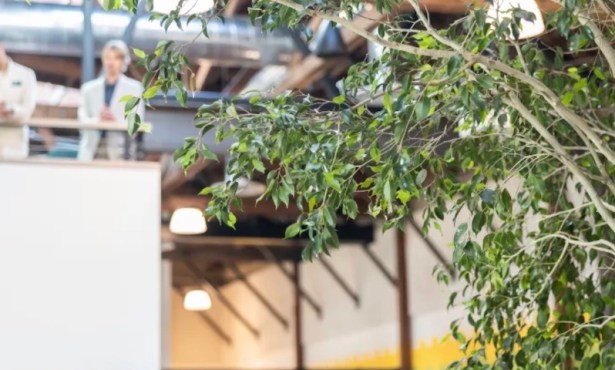 TEDx Event in Santa Barbara Uplifts Climate-Minded Community