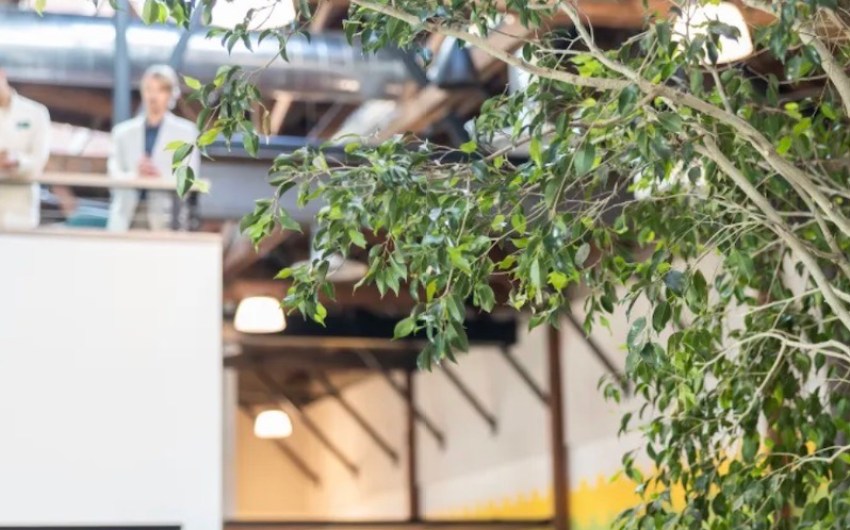 TEDx Event in Santa Barbara Uplifts Climate-Minded Community