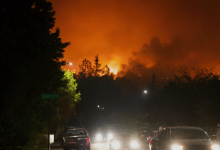 Six Roads to Safety: New Study Finds a Critical Threshold for Wildfire Survival