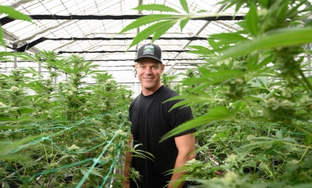 Santa Barbara County Cannabis Company ‘Uplisted’ to New York Stock Exchange