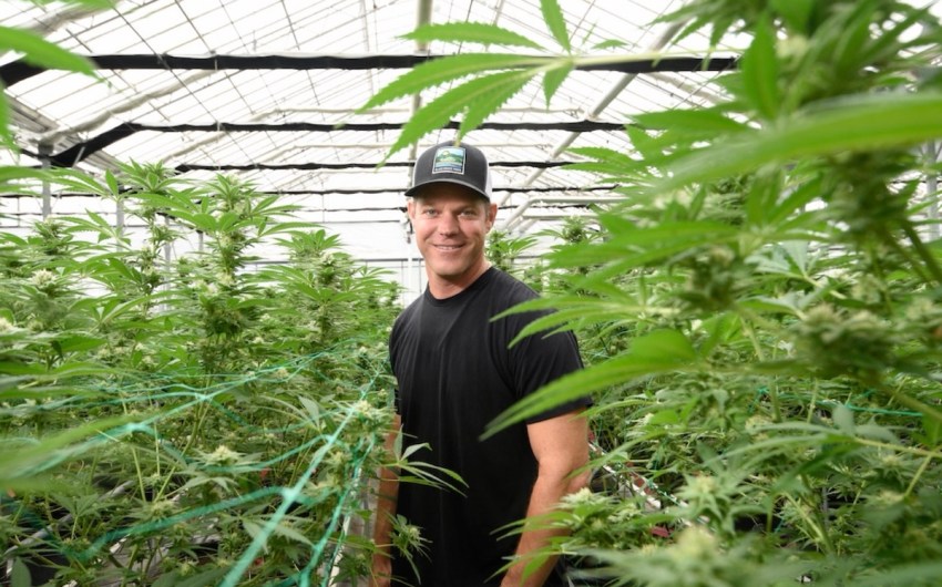 Santa Barbara County Cannabis Company ‘Uplisted’ to New York Stock Exchange