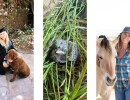 Santa Barbara’s Pets & Animals