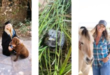 Santa Barbara’s Pets & Animals
