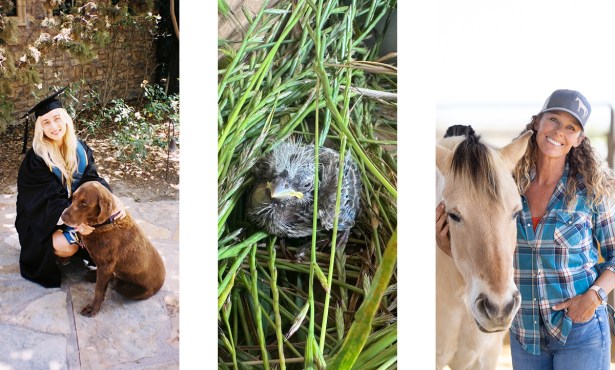 Santa Barbara’s Pets & Animals