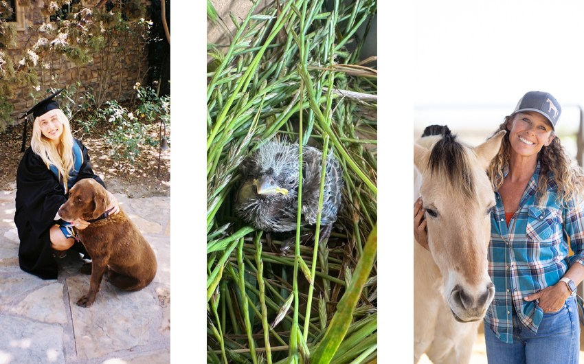 Santa Barbara’s Pets & Animals