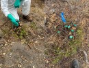 Roundup Use in Santa Barbara Raises Eyebrows