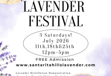 3rd Annual Santa Rita Hills Lavender Festival