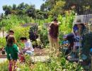Family Garden Exploration/Exploración del huerto familiar