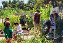 Family Garden Exploration/Exploración del huerto familiar