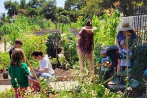 Family Garden Exploration/Exploración del huerto familiar