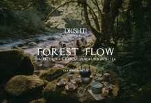 Forest Flow – Digital Detox & Nature Immersion with Tea
