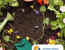 UC Master Gardeners at Montecito Library