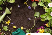 UC Master Gardeners at Montecito Library