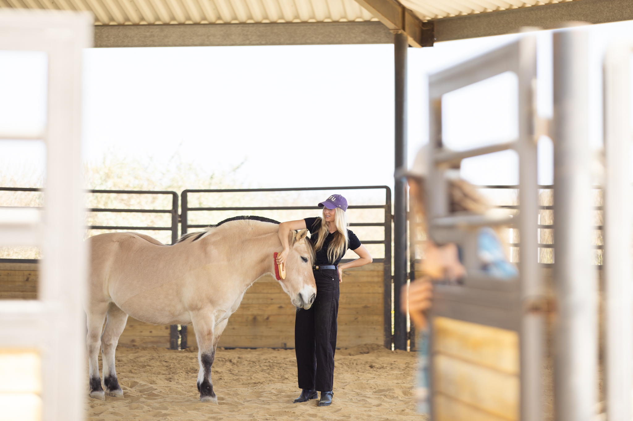 Healing with Horses in a Santa Barbara Corral