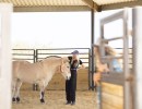 Healing with Horses in a Santa Barbara Corral