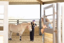 Healing with Horses in a Santa Barbara Corral