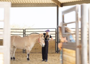 Healing with Horses in a Santa Barbara Corral