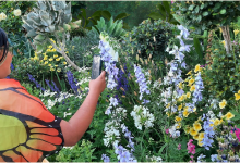 Pollinator-Palooza | Arroyo Burro Open Space