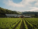 Five Year Anniversary of The Barn at The Hilt Estate