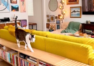 The Home Page | Abodes to Envy and Style for Right Meow