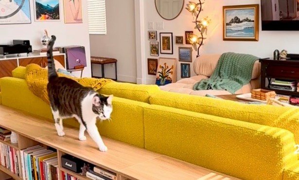 The Home Page | Abodes to Envy and Style for Right Meow