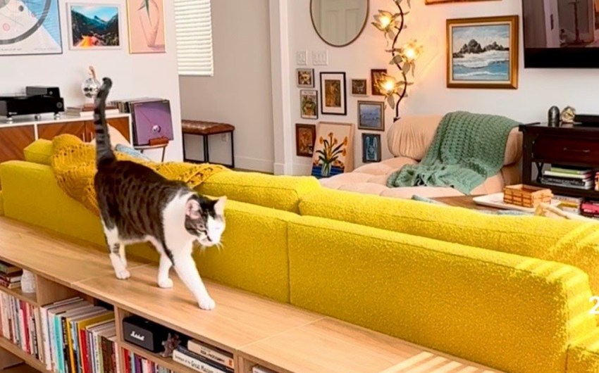 The Home Page | Abodes to Envy and Style for Right Meow