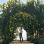 Full Belly Files | Tasting Summer at Wanderment Farms