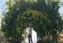 Full Belly Files | Tasting Summer at Wanderment Farms