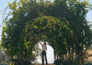 Full Belly Files | Tasting Summer at Wanderment Farms