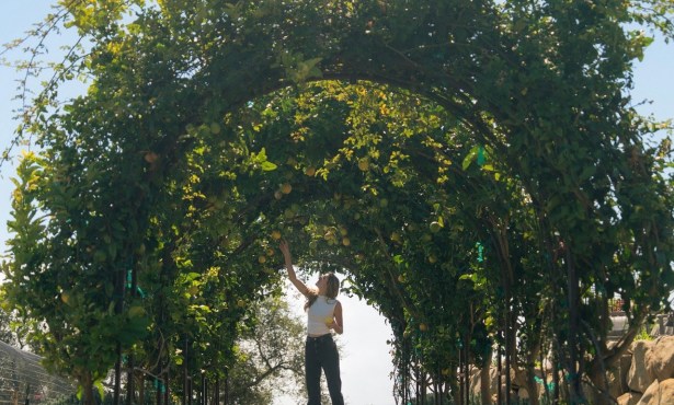 Full Belly Files | Tasting Summer at Wanderment Farms