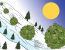 Compounding: The Snowball Effect 