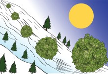 Compounding: The Snowball Effect 