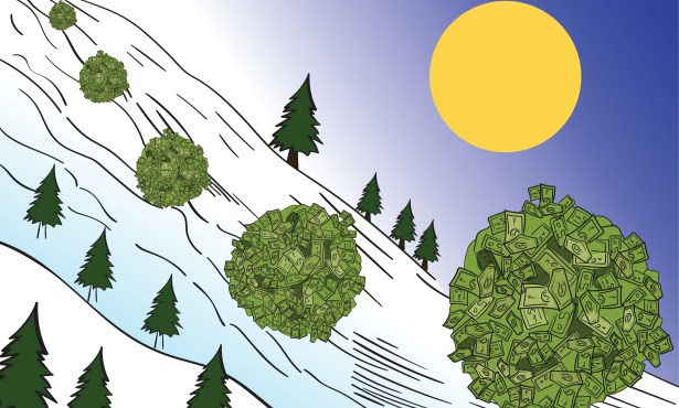 Compounding: The Snowball Effect 