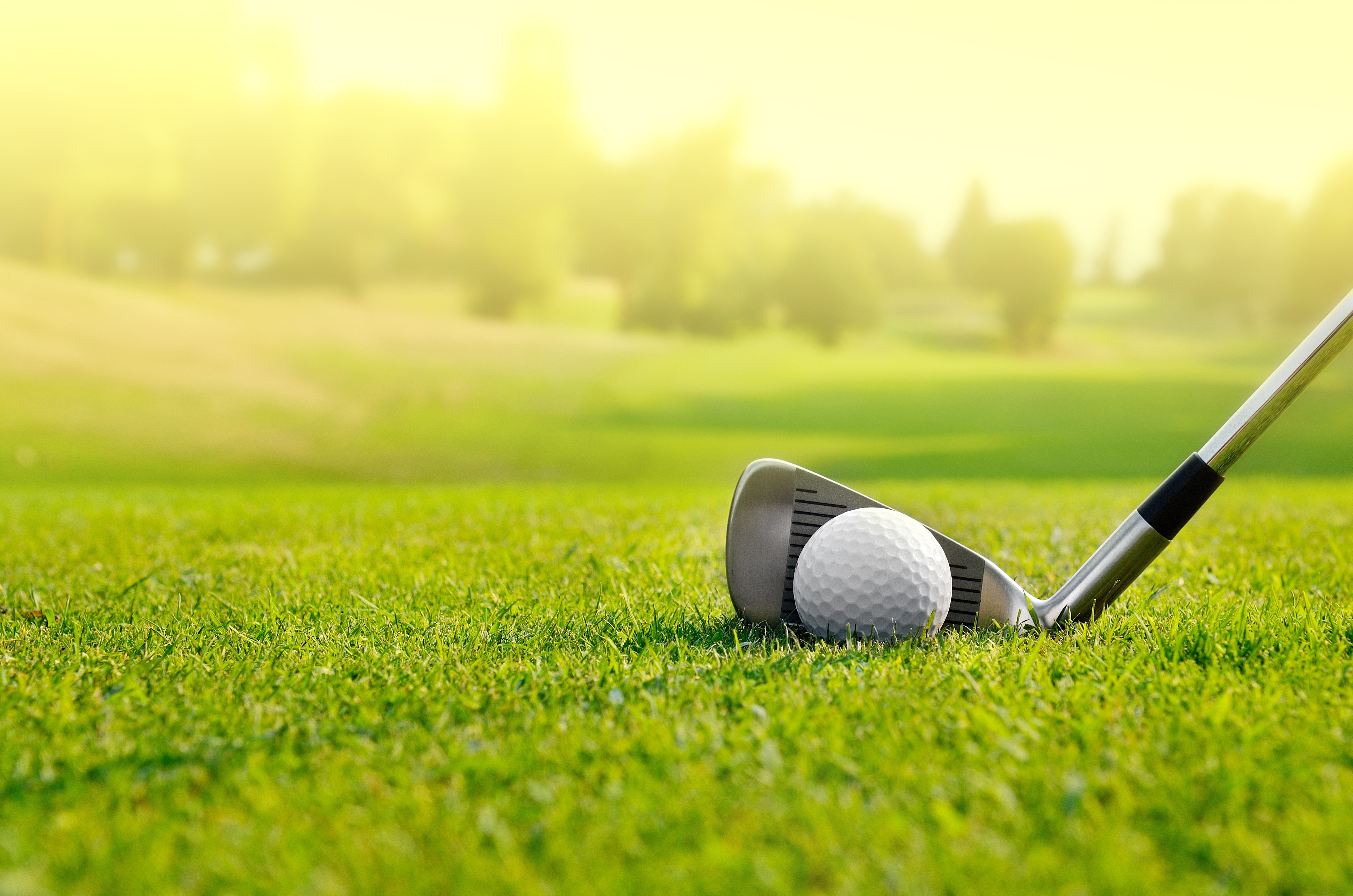 Mulligan on Muni: Taking Another Swing at Housing on the Green