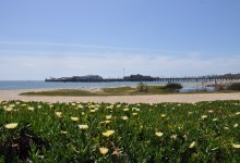 Sierra Club Reaches Settlement with Three Santa Barbara Companies over Harmful Runoff to East Beach