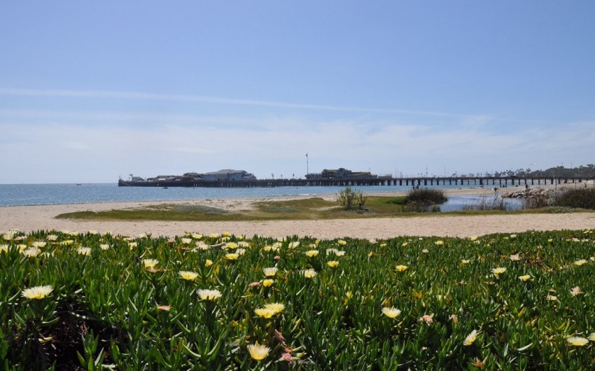 Sierra Club Reaches Settlement with Three Santa Barbara Companies over Harmful Runoff to East Beach