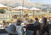 Summer After Hours at Zaca Mesa Winery