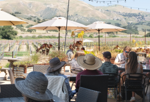 Summer After Hours at Zaca Mesa Winery