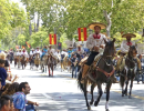 The Horses That Built Santa Barbara Deserve a Voice in Fiesta Planning