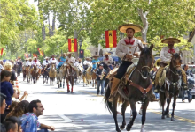 The Horses That Built Santa Barbara Deserve a Voice in Fiesta Planning