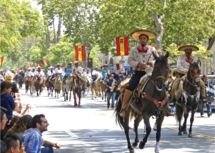 The Horses That Built Santa Barbara Deserve a Voice in Fiesta Planning