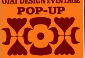 Ojai Design x Vintage