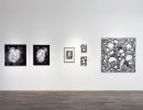 Nature Revisited, Gallery Celebrated