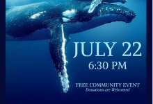 Free Film Screening: “Ocean”  with David Attenborough